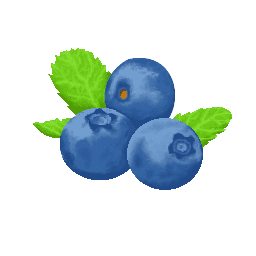 Pixel art of blueberries